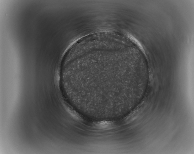 X0000115120059200911241355