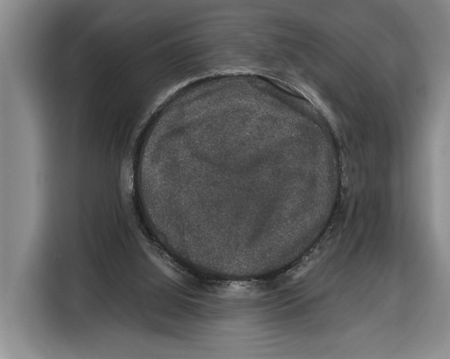 X0000115120060200911241355