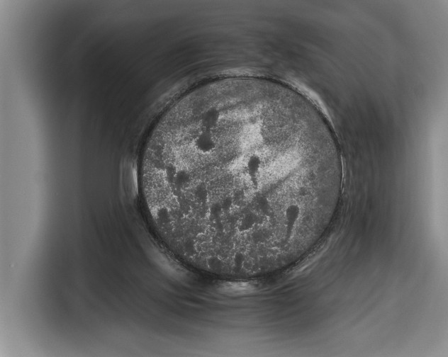 X0000115120061200911241355