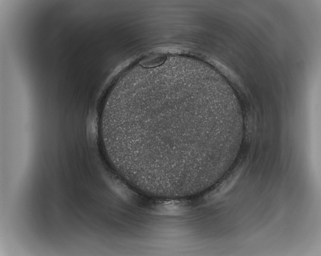 X0000115120064200911241355