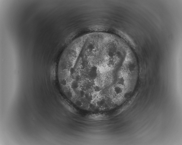 X0000115120065200911241355