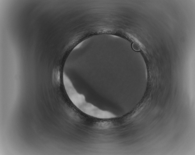 X0000115120067200911241355