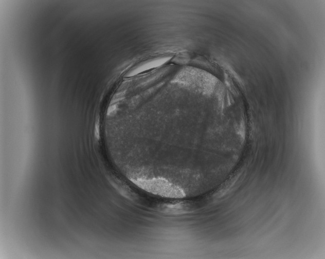 X0000115120068200911241355