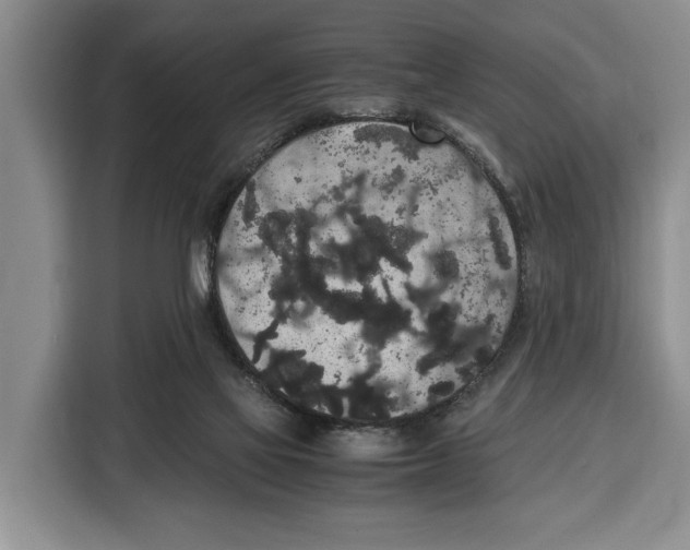 X0000115120069200911241355