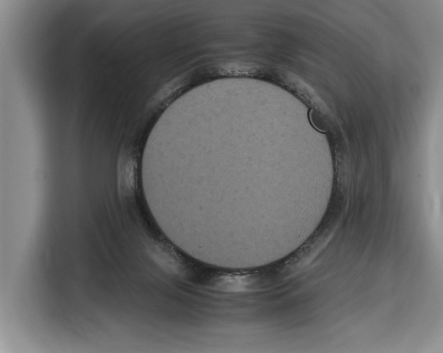 X0000115120071200911241355