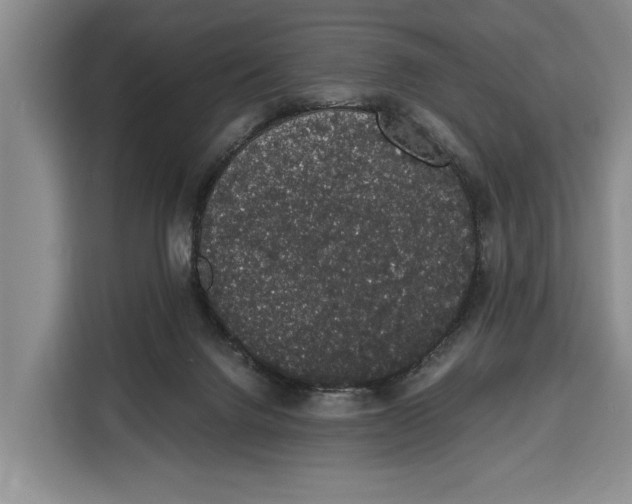 X0000115120072200911241355