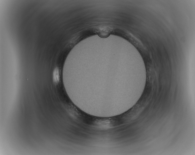 X0000115120075200911241355