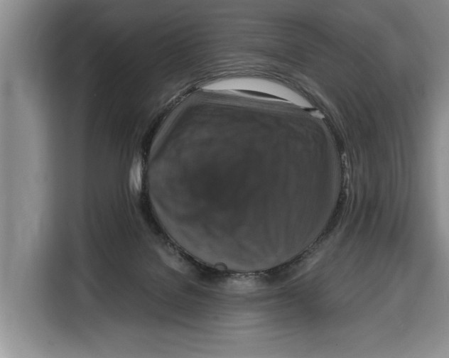 X0000115120076200911241356