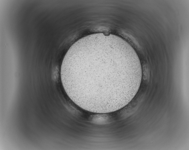 X0000115120077200911241356