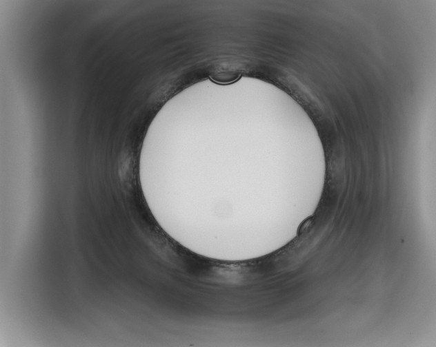 X0000115120079200911241356