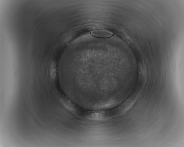 X0000115120080200911241356