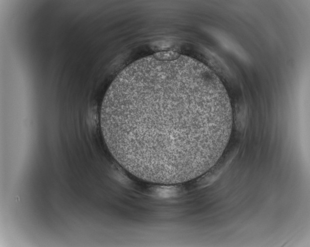 X0000115120085200911241356