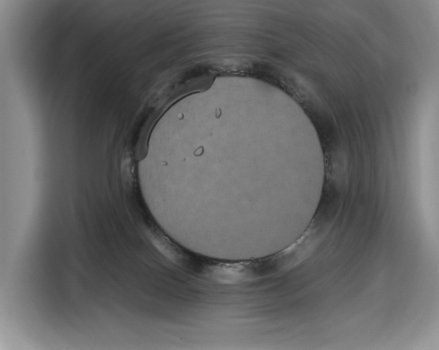 X0000115120086200911241356