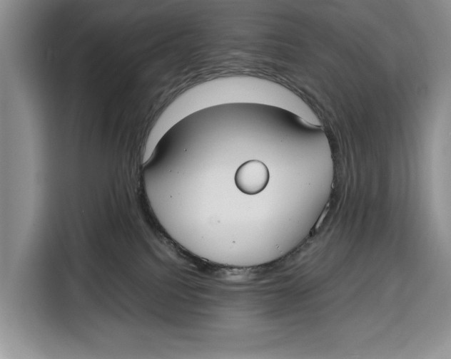 X0000115120088200911241356