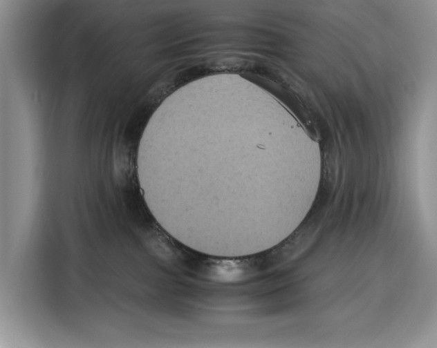 X0000115120091200911241356