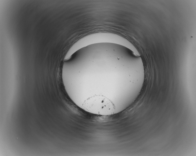 X0000115120092200911241356