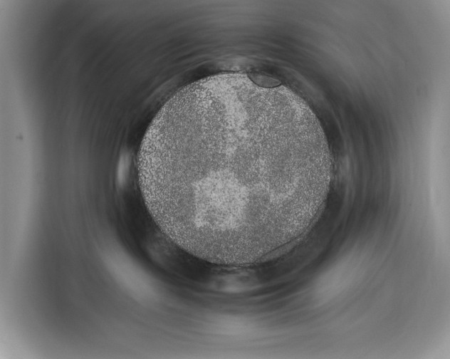 X0000115120095200911241356