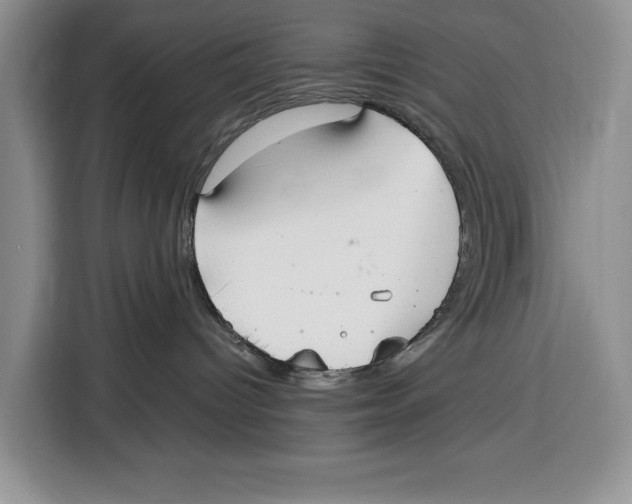 X0000115120096200911241356