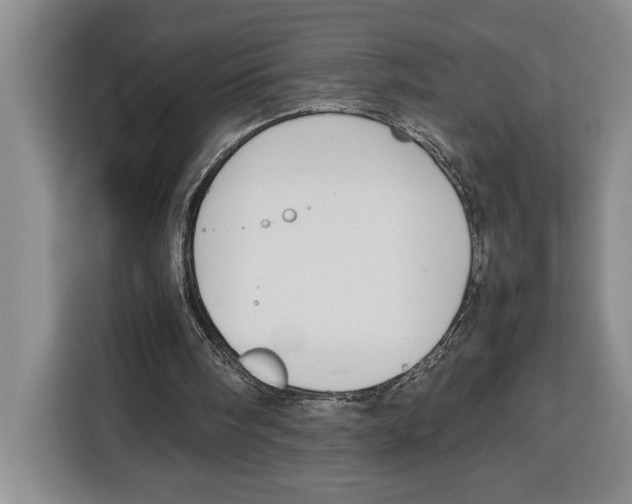 X0000115120098200911241355