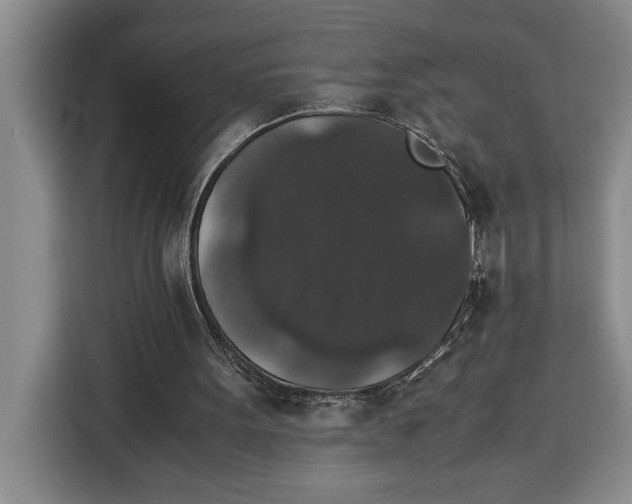 X0000115120099200911241355