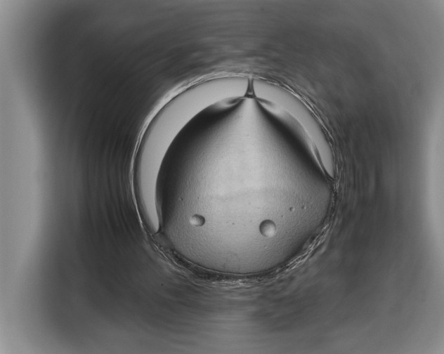 X0000115120100200911241355