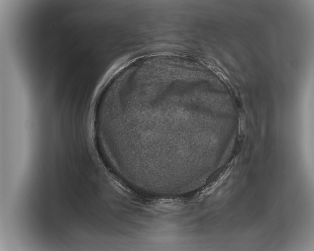 X0000115120101200911241355