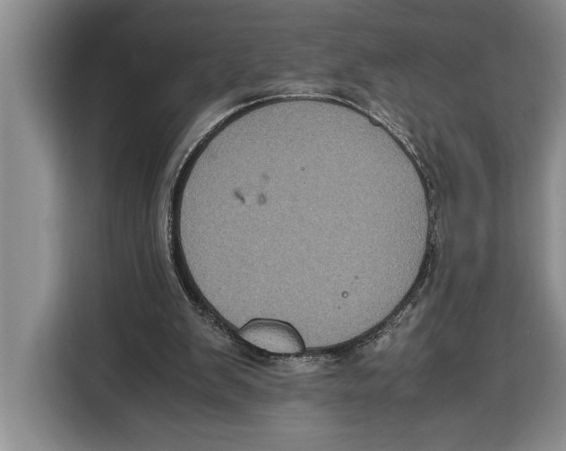 X0000115120103200911241355