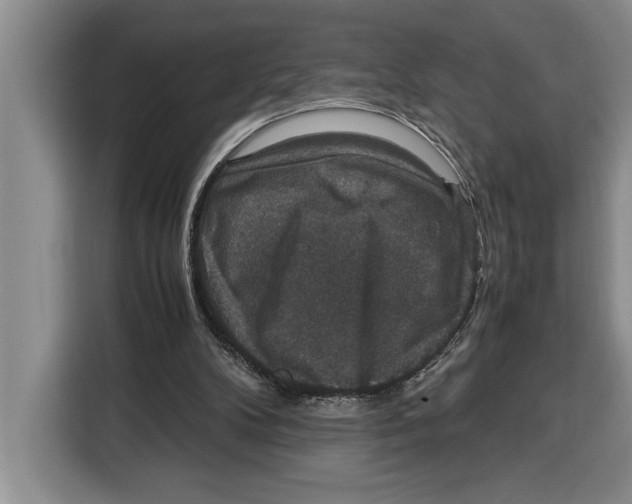 X0000115120104200911241355