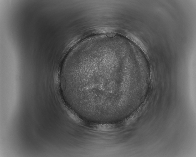 X0000115120105200911241355