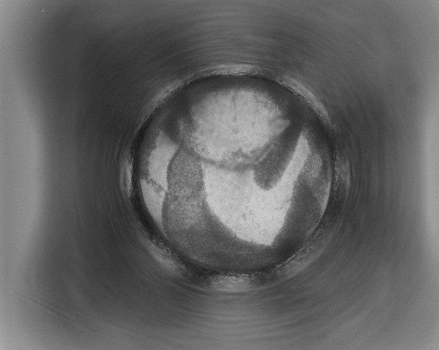 X0000115120110200911241355