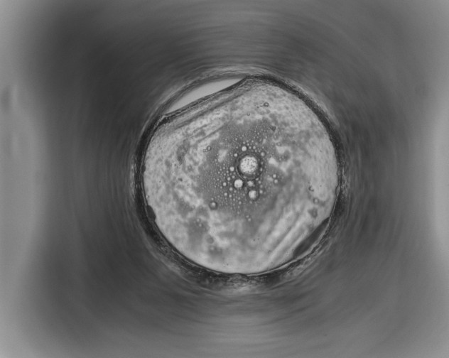 X0000115120111200911241355