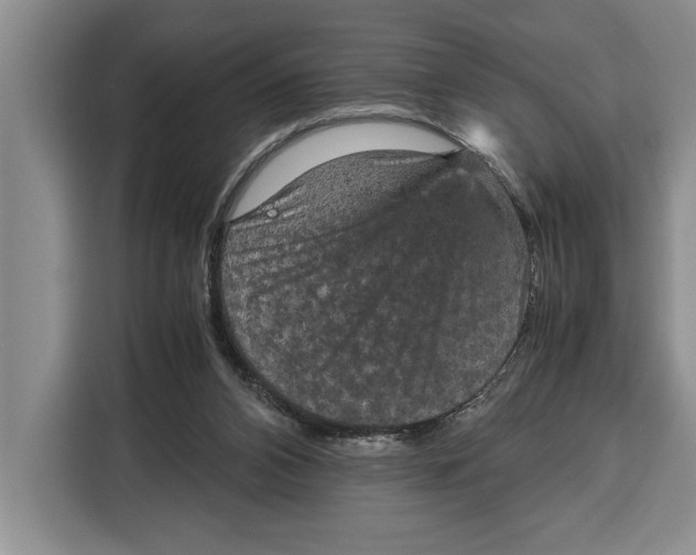 X0000115120112200911241355