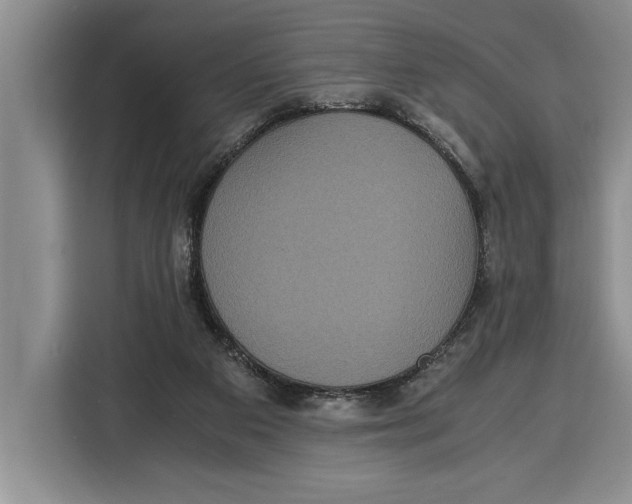 X0000115120113200911241355