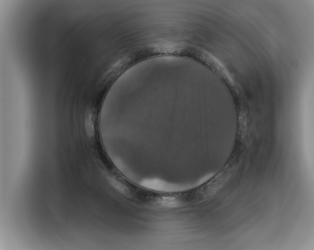 X0000115120114200911241355