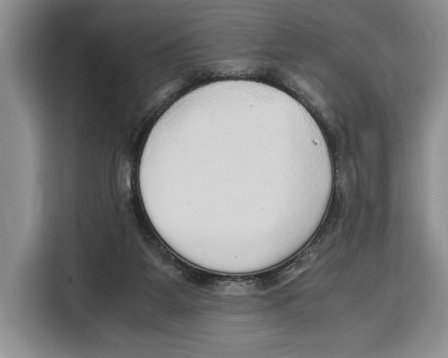 X0000115120115200911241355