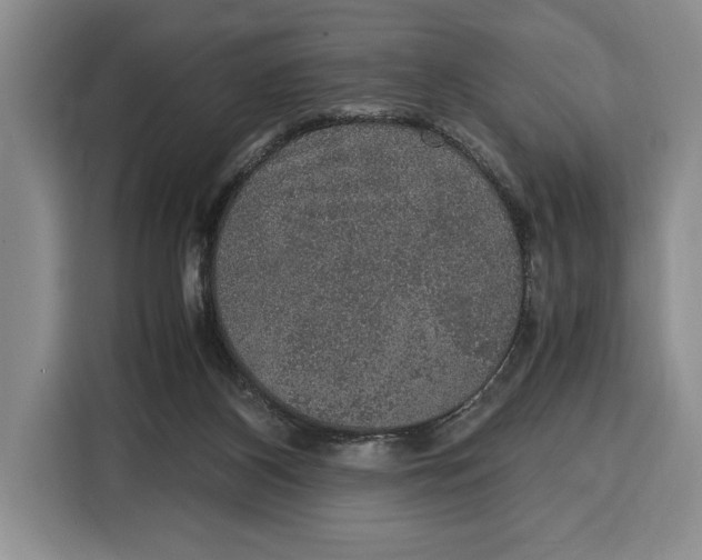 X0000115120116200911241355