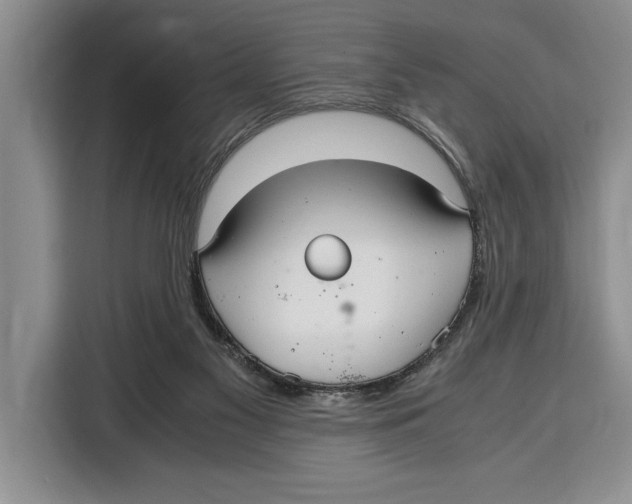 X0000115120117200911241355