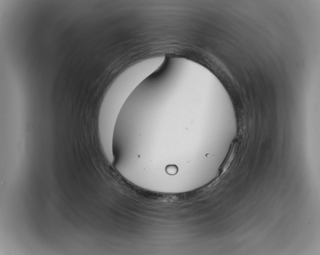 X0000115120124200911241355