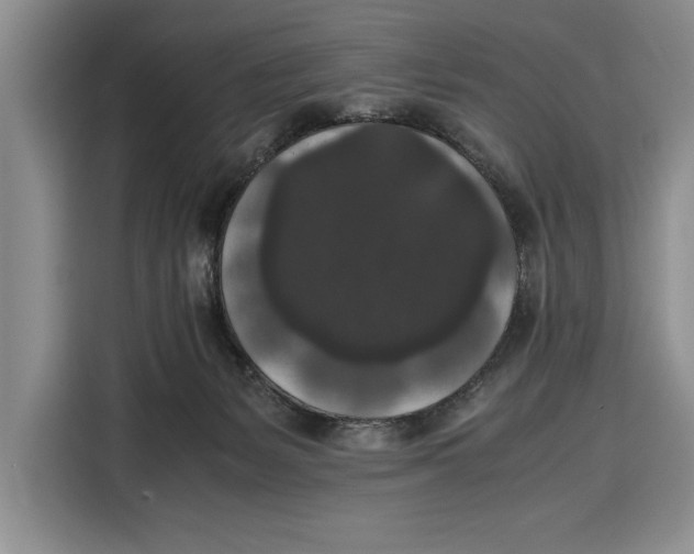 X0000115120127200911241355