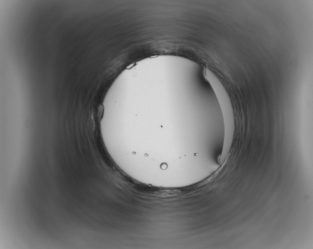 X0000115120128200911241355