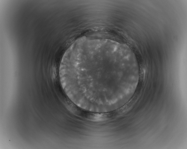 X0000115120130200911241355