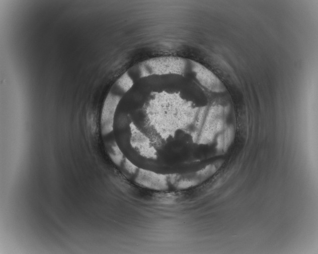 X0000115120131200911241355