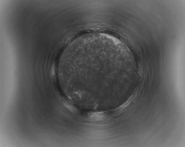 X0000115120132200911241355