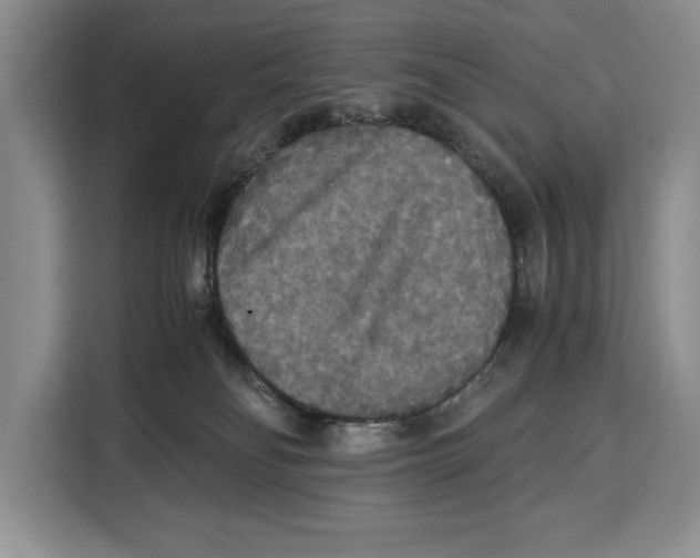 X0000115120134200911241355