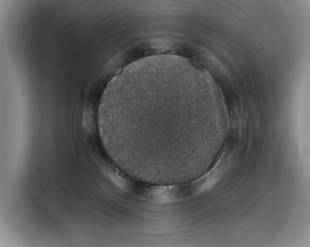 X0000115120136200911241355