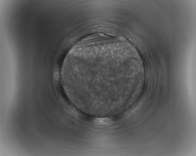 X0000115120137200911241355