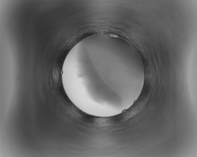 X0000115120139200911241355