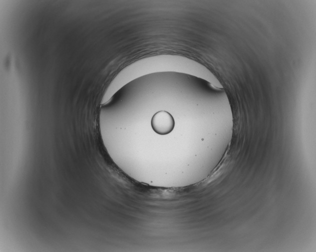 X0000115120140200911241355