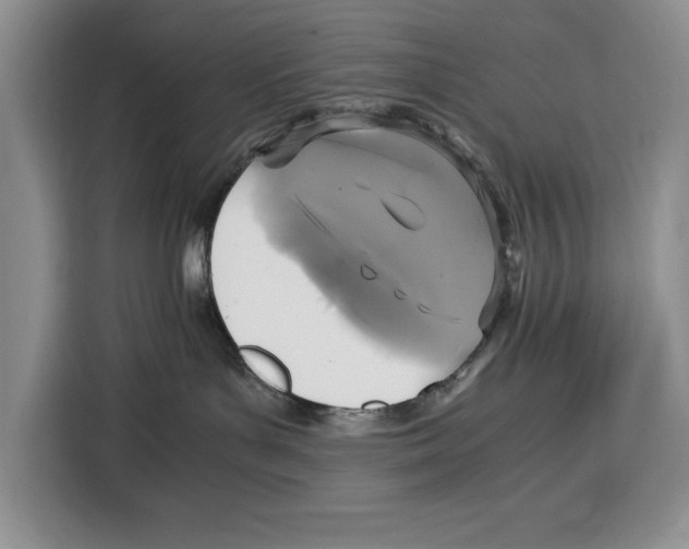 X0000115120143200911241355