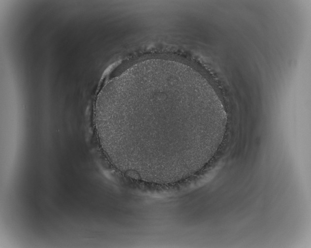 X0000115120144200911241355